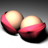 post-8565_t post-8565_t