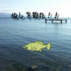 post-27149_t post-27149_t