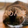 post-41250_t post-41250_t