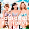 AKB48握手会 ネット上のネタ 「アクリル板越しの握手」を現実化する案が浮上 AKB48握手会 ネット上のネタ 「アクリル板越しの握手」を現実化する案が浮上